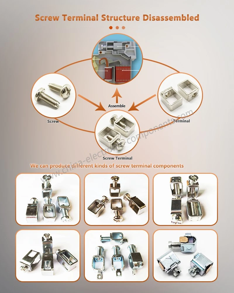 Wire Clamp Terminal with Screw Structure Disassembled Wire Clamp Terminal with Screw Structure Disassembled